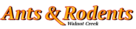 Walnut Creek Ant Exterminator & Rodent Control Company Logo